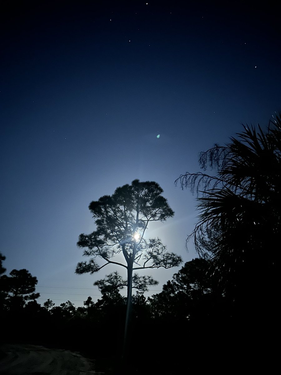 Finished up activation 200 at US-6313
#POTA