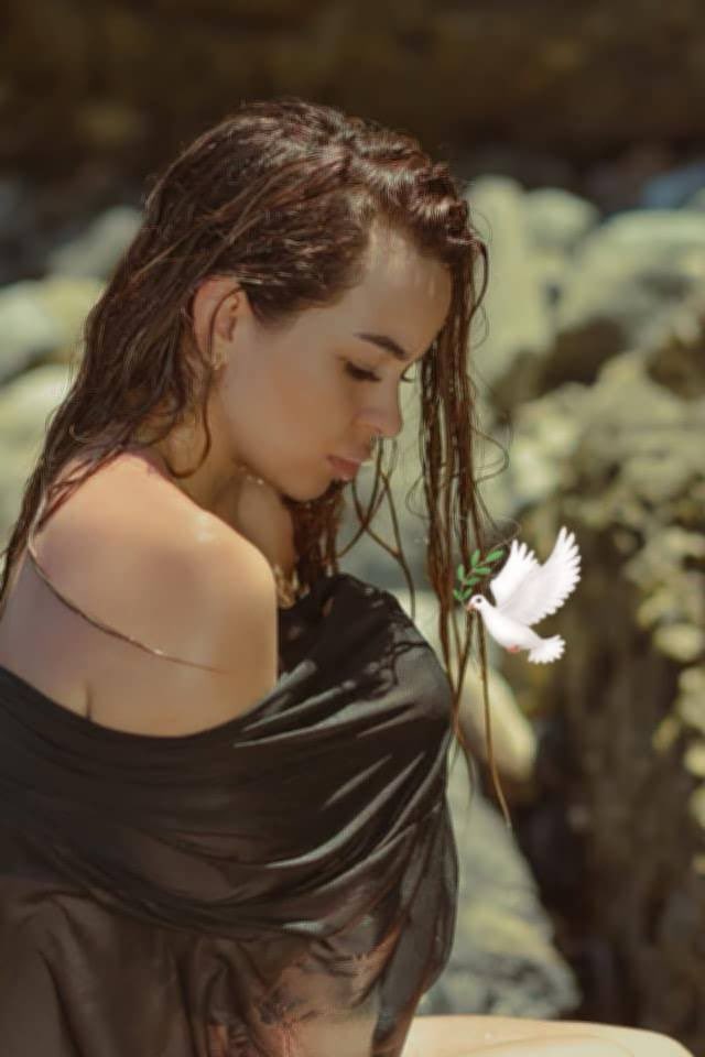 Daniel Almanza tweet media