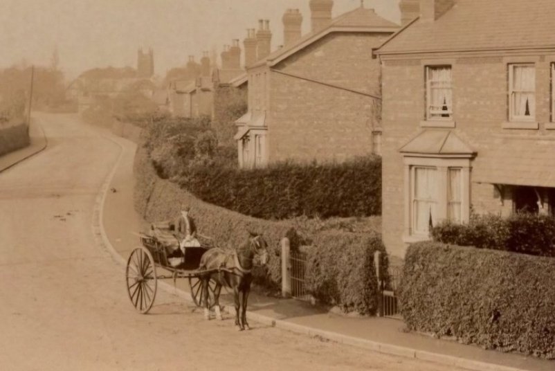 Halewood History tweet media