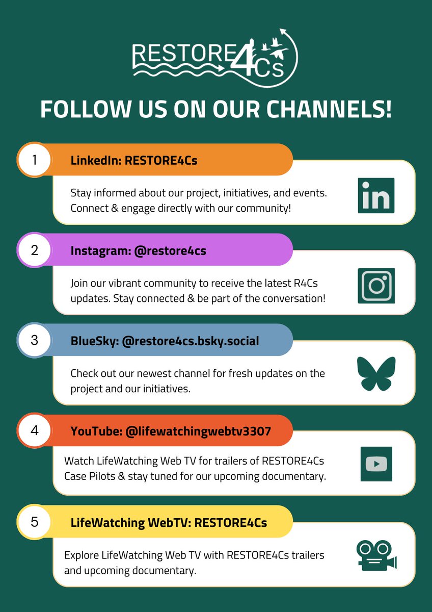 RESTORE4Cs's tweet image. 📢 We’re shifting focus to platforms better suited for reaching our #community and sharing updates.

💦 For now, this channel will remain open, but you may notice fewer updates. Here’s a recap of where you can find us❕ 

Stay connected for the latest news &amp;amp; opportunities❕💧🌱🦩