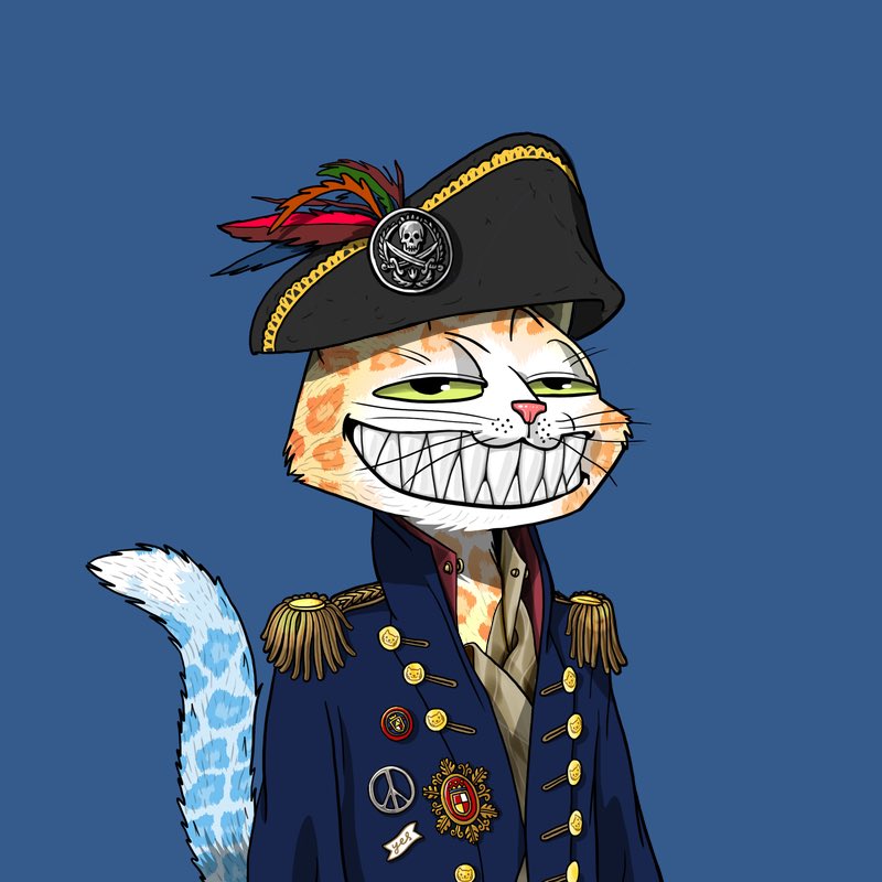 fundamentals 💀👽🐱 tweet media