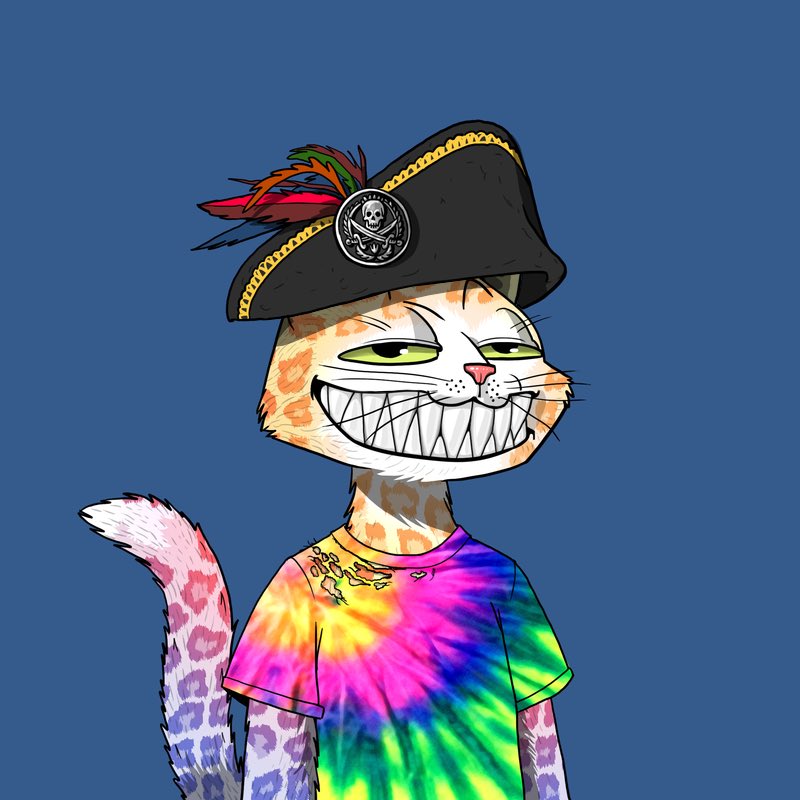 fundamentals 💀👽🐱 tweet media