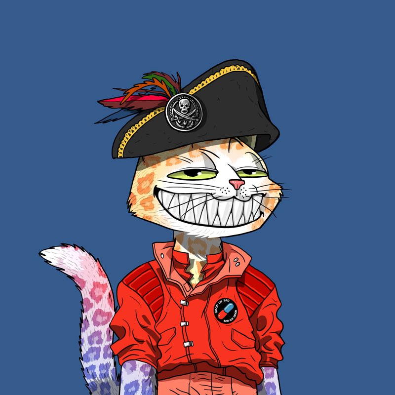 fundamentals 💀👽🐱 tweet media