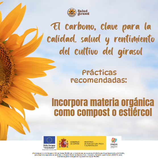 🌱 Mantén el carbono del suelo y mejora su fertilidad 🌍

✅ Incorpora materia orgánica como compost y estiércol.
💧 Aumenta la retención de agua y la salud del suelo.
🌾 Favorece cultivos más sostenibles y productivos.
ow.ly/Ms3i50UPejw