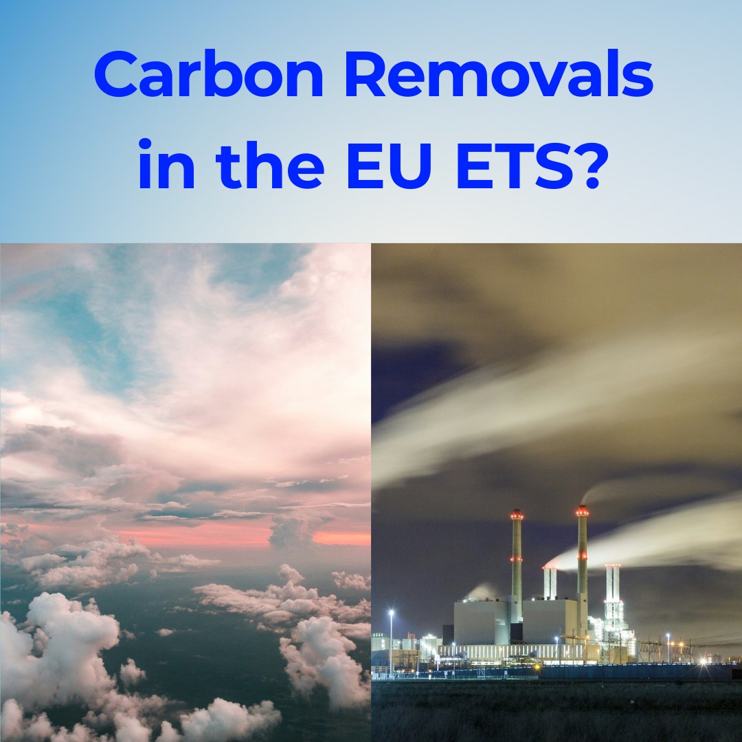EveTamme's tweet image. #CarbonRemovals in the #EUETS.
Good idea? Bad idea?
It depends.
I first wrote about removals in early 2022 when only two seminal papers had been published on the topic.
Last year, issuing reports on integrating removals into ETS became so popular that it gave me a flashback…