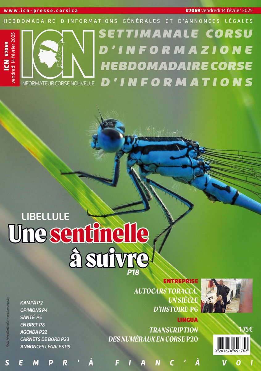 La une de cette semaine

#CHAjaccio #AutocarsToracca #Libellules #Lingua