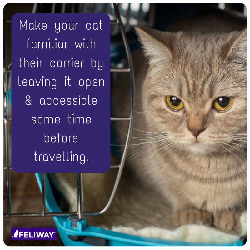 youngveterinary's tweet image. Got a #Vet appointment booked? 
If you can - get your #catcarrier out days before your appointment, 
Leave it open, 
Place a blanket inside with their scent &amp;amp; a few treats.
Allow you cat time to enter &amp;amp; exit as they please, in the days leading up to your appointment. 
#CatTravel