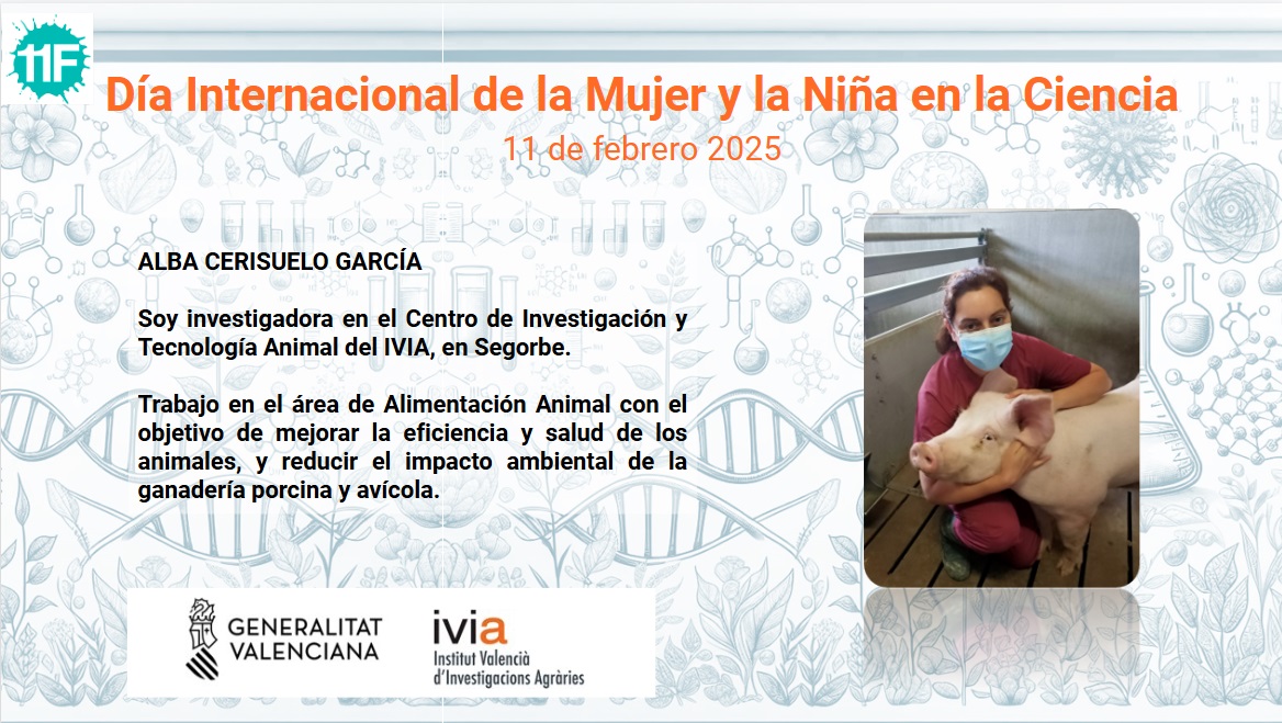 IVIA tweet media