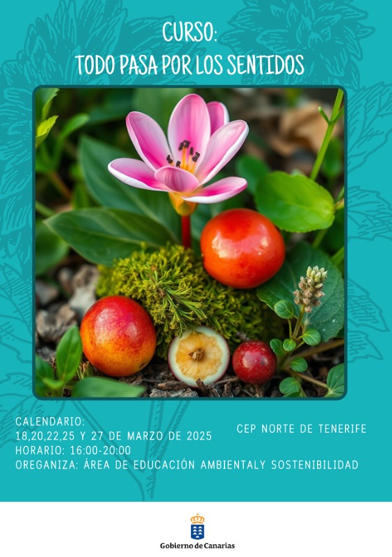 Matrícula:gobiernodecanarias.org/educacion/7/al…