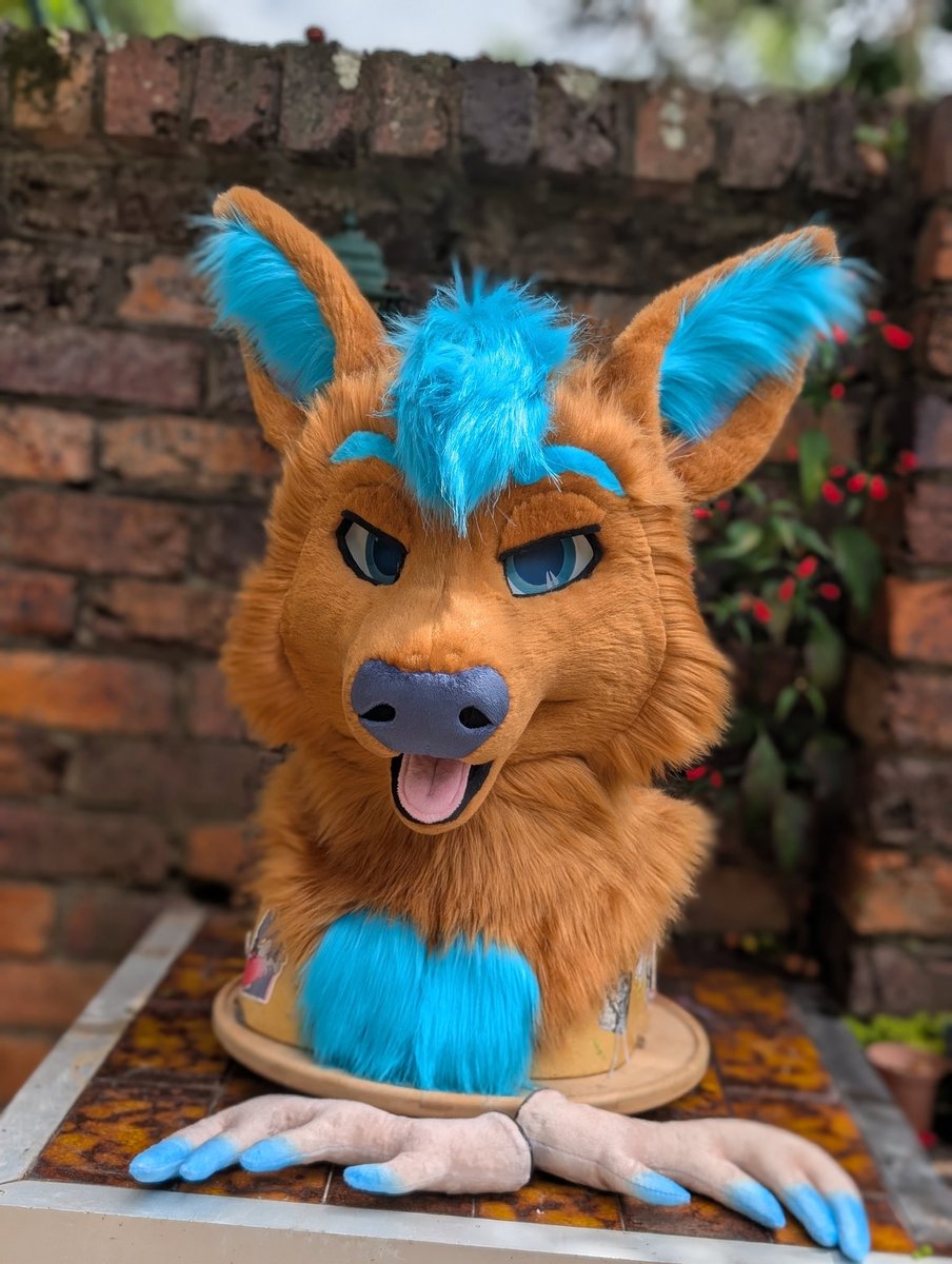 🐺✨Skyehighstudios✨🐺 tweet media