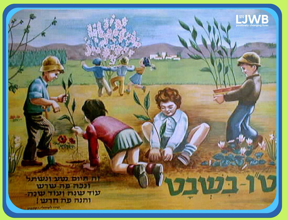 🌿 Happy Tu Bishvat from LJWB! 🌿

#tubishvat #JewishValues #sustainability  #CharityShop #reuse #recycle #nature #trees
