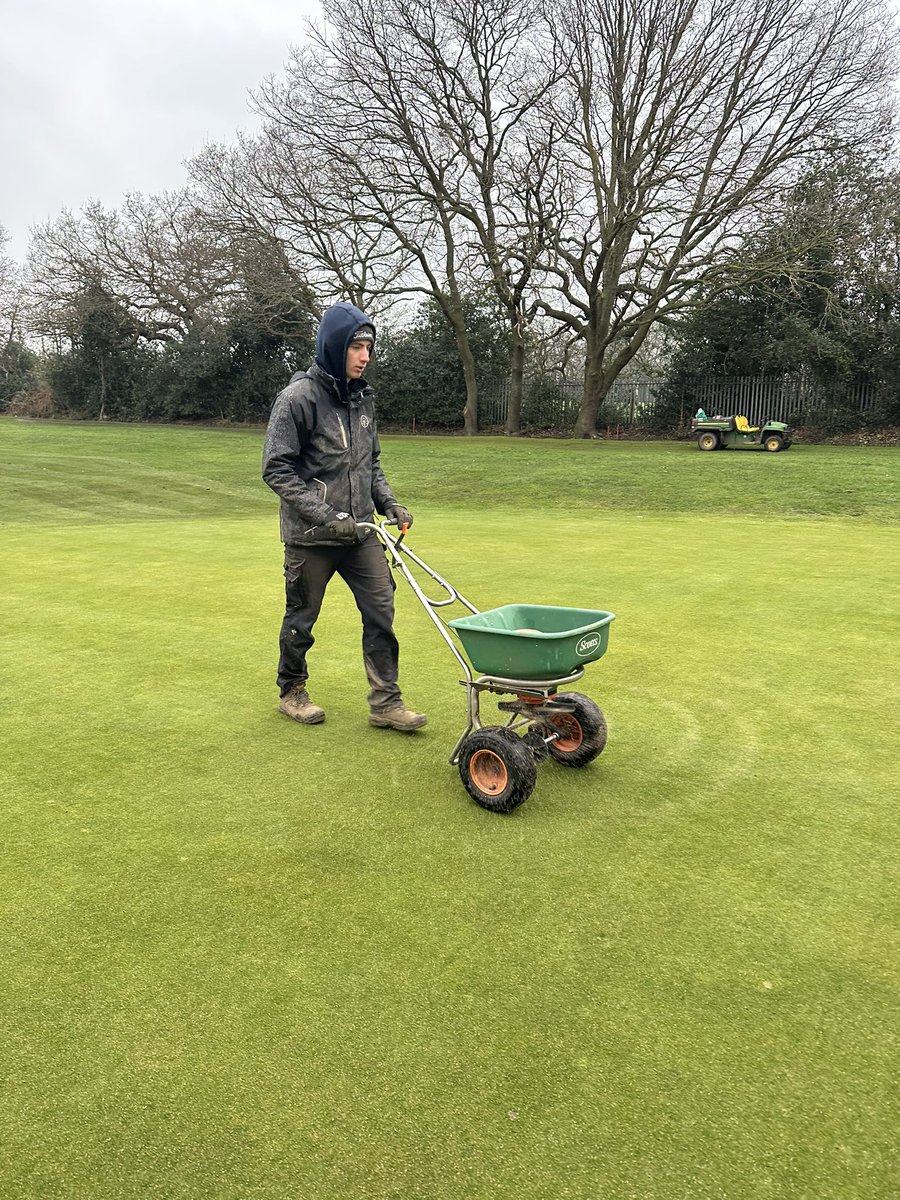 berto74cafc tweet media