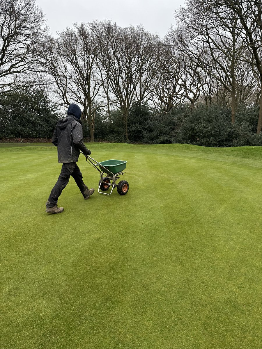 berto74cafc tweet media