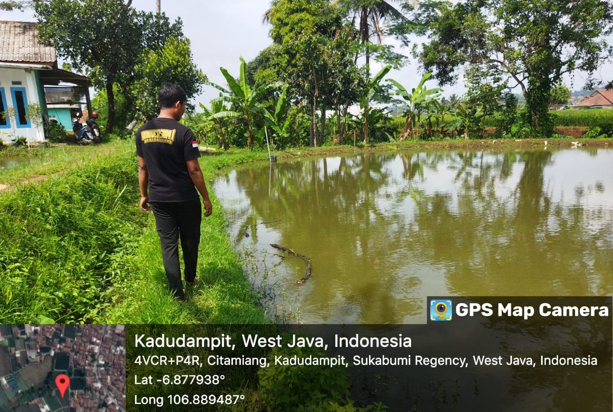 ncisriMuly's tweet photo. Rabu (08/01/2025), Sri Mulyani, Luhkan Kab. Sukabumi, melakukan identifikasi pembudidaya ikan di Desa Citamiang Kec. Kadudampit #giatluhkansatminkalbogor #Skbmi #Aktivitas @brpbatpp_bogor @pusluh_bppsdm @bppsdm_kp https://t.co/lLo5iUn2nv