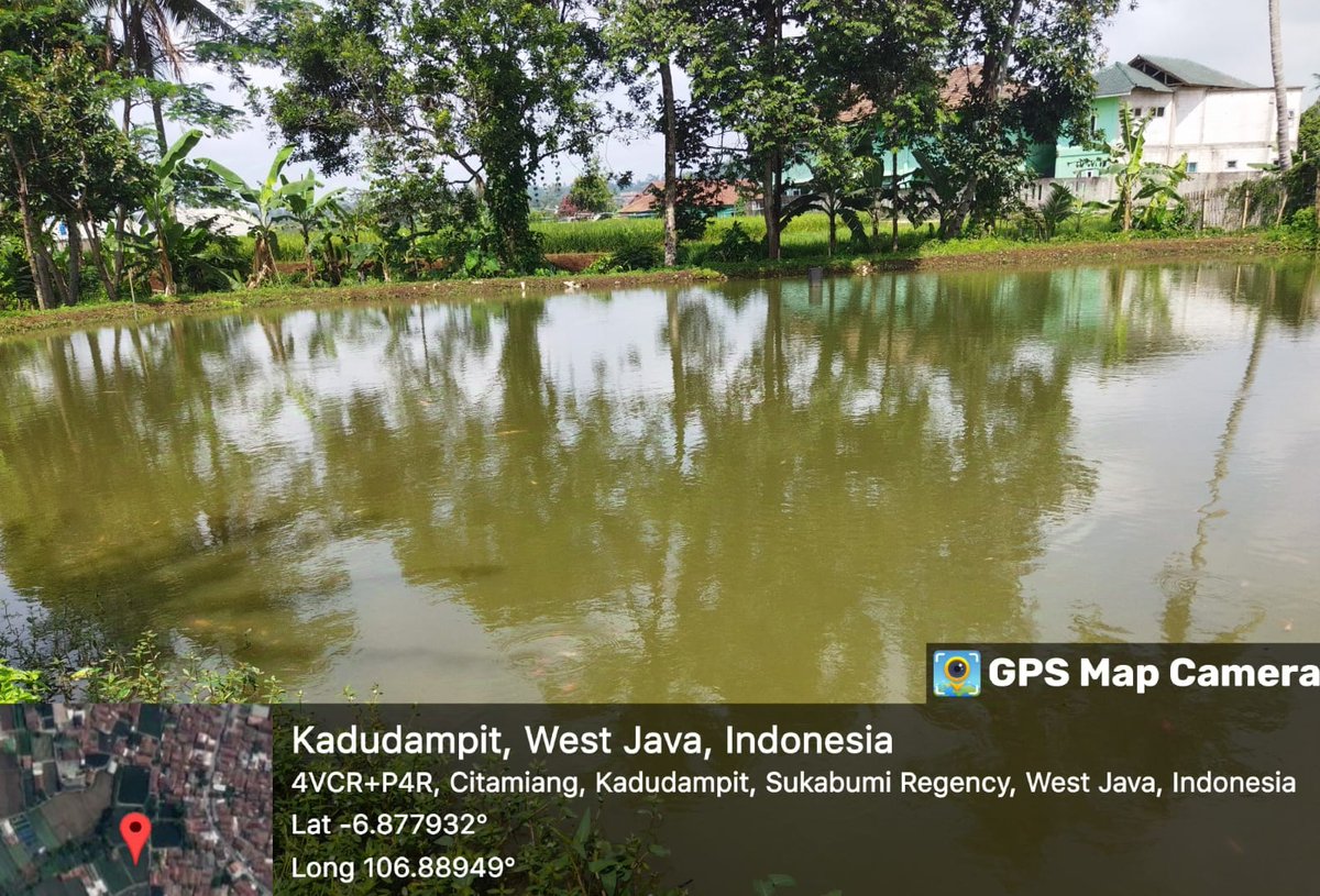 ncisriMuly's tweet photo. Rabu (08/01/2025), Sri Mulyani, Luhkan Kab. Sukabumi, melakukan identifikasi pembudidaya ikan di Desa Citamiang Kec. Kadudampit #giatluhkansatminkalbogor #Skbmi #Aktivitas @brpbatpp_bogor @pusluh_bppsdm @bppsdm_kp https://t.co/lLo5iUn2nv