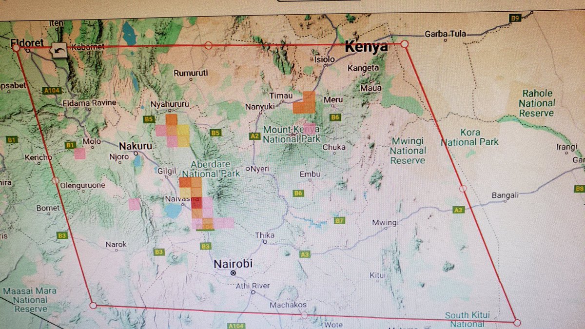 KenyaBirdMap tweet media