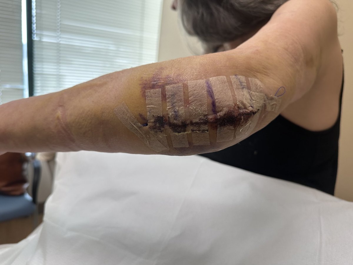 paget brewster tweet media