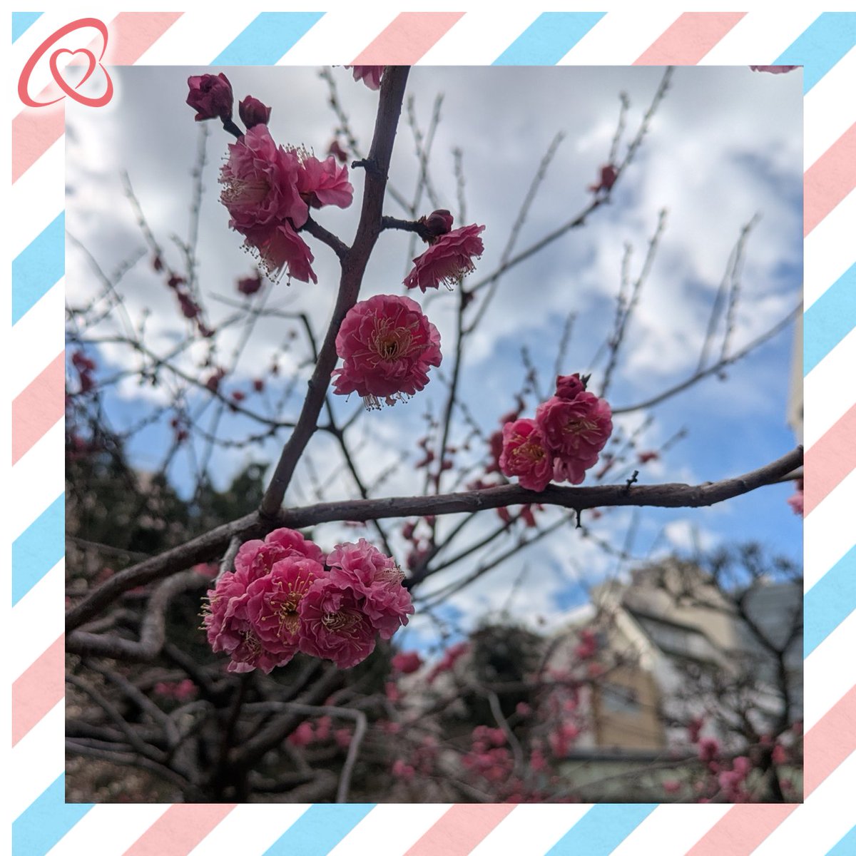 kuhs_pt's tweet photo. 湯島天神へ理学療法士国家試験の合格祈願にいってきました！4年生と担任の内田先生と一緒にお参りし，御祈祷を賜り，御札と試験本番でも使える鉛筆を頂きました！

#神奈川県立　#県大　#kuhs
#理学療法　#PT　#リハビリ　#大学　#医療従事者　#入試　#合格 https://t.co/FXPWhtjEzj