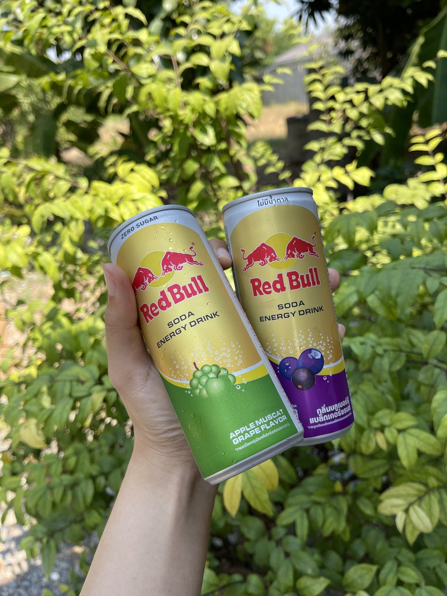 เปิดตัวปุ๊บจัดปั๊บ! ส่วนตัวไม่ชอบน้ำผสมโซดาทุกชิดแต่อันนี้กินง่ายมาก ชอบเลยหอมมากหวานนิดๆแล้วซ่ากำลังดีโอเคเลย ผ่าน👌🏻 ได้มาแค่2กลิ่น เดียวไปตามหาต่อ 😆

#REDBULLTHXBAMBAM
#BamBam <a href="/BamBam1A/">BamBam</a>