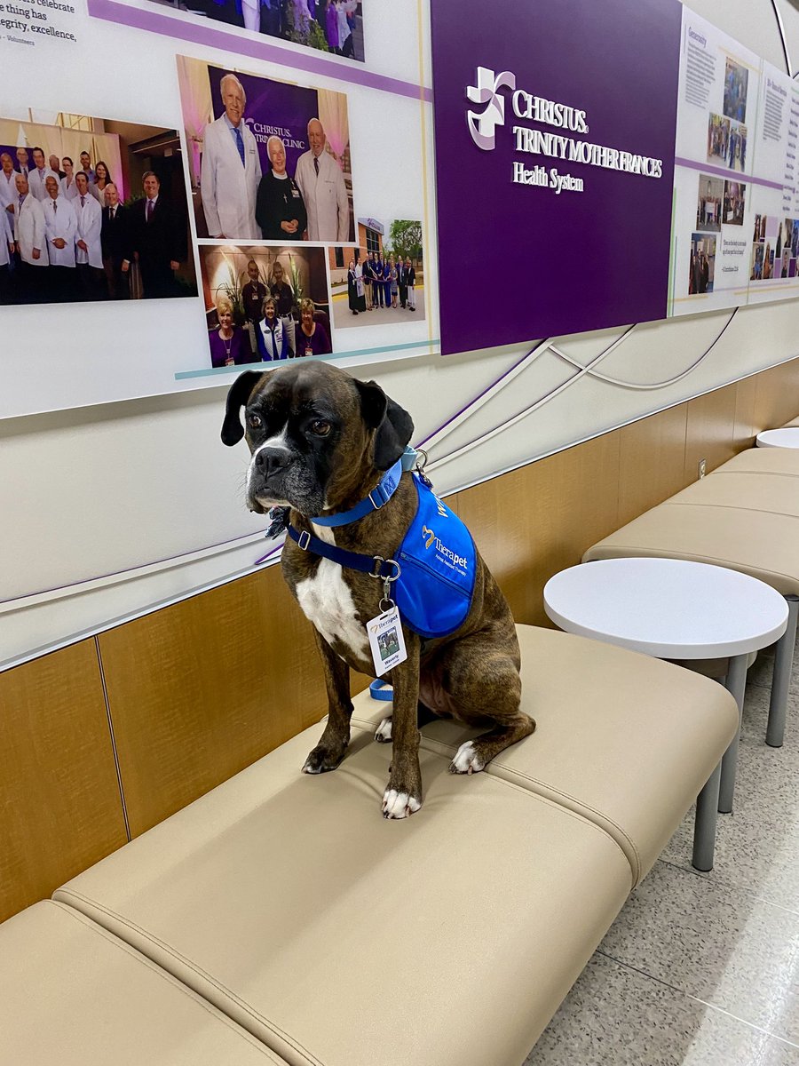 cwndgo's tweet image. My pup passed out some happy to staff and patients tonight. #therapet