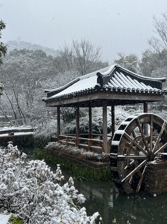 Yolande_2011's tweet photo. 冬日里的温暖

#互关 #互fo #互粉 #互关必回 https://t.co/ajliKSENj6