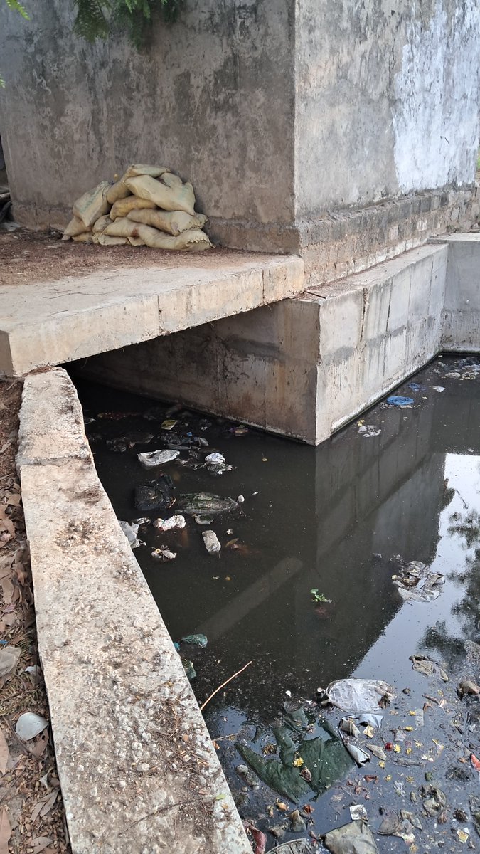 aashish1siwan's tweet photo. @CommissionrGHMC @GHMCOnline @TelanganaCMO @gadwalvijayainc 
Please help to clean the lake in Prabha pada township to get a respite from mosquito breeding in the locality.
Request from all honest tax payers https://t.co/EDv4nNGsSk