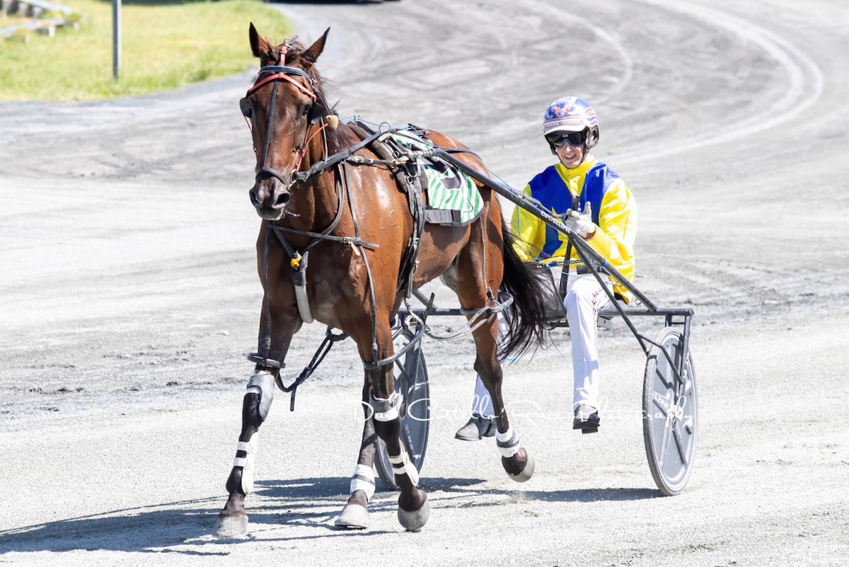 Dan Costello (@danracingwrap) on Twitter photo Hoiho with <a href="/garrard_angus/">Angus Garrard</a> finish fast out wide to win race 3 <a href="/redcliffe_hrc/">Redcliffe Harness Racing Club</a> for trainer Charlie Chiang Hoiho with <a href="/garrard_angus/">Angus Garrard</a> finish fast out wide to win race 3 <a href="/redcliffe_hrc/">Redcliffe Harness Racing Club</a> for trainer Charlie Chiang