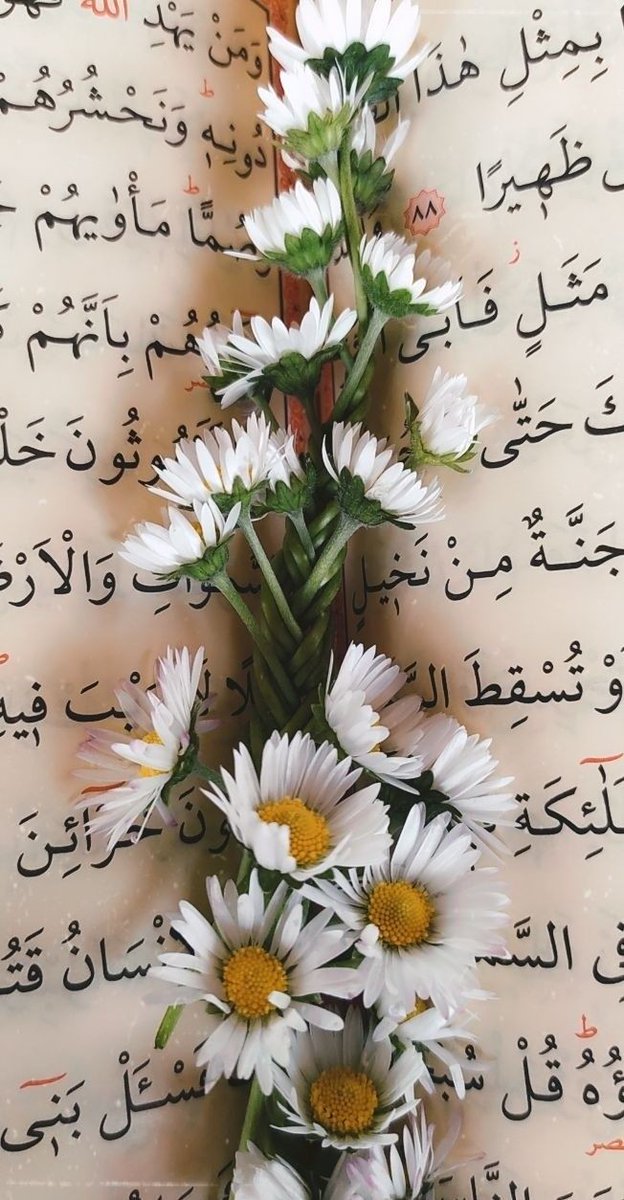 BAHAR NUR tweet media