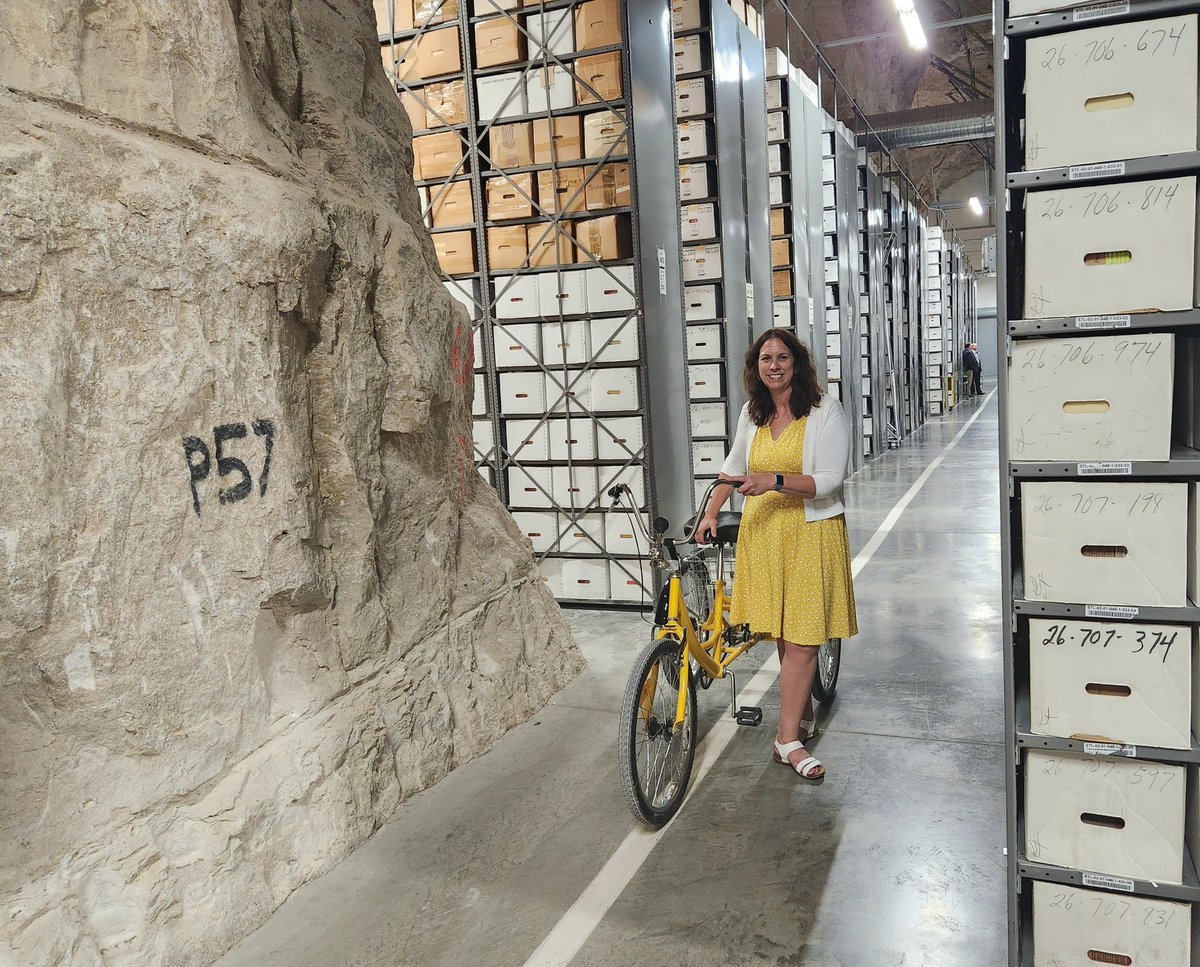davepl1968's tweet photo. I'm not sure why this is freaking people out!
Documents should be stored in a cool, dry place with a constant climate, fire protection, and so on.  All afforded naturally by a limestone cave.

One presumes with only 1 or 2 ways in and out the security is also very good.  And you probably don't even need HVAC or nearly as much of it.