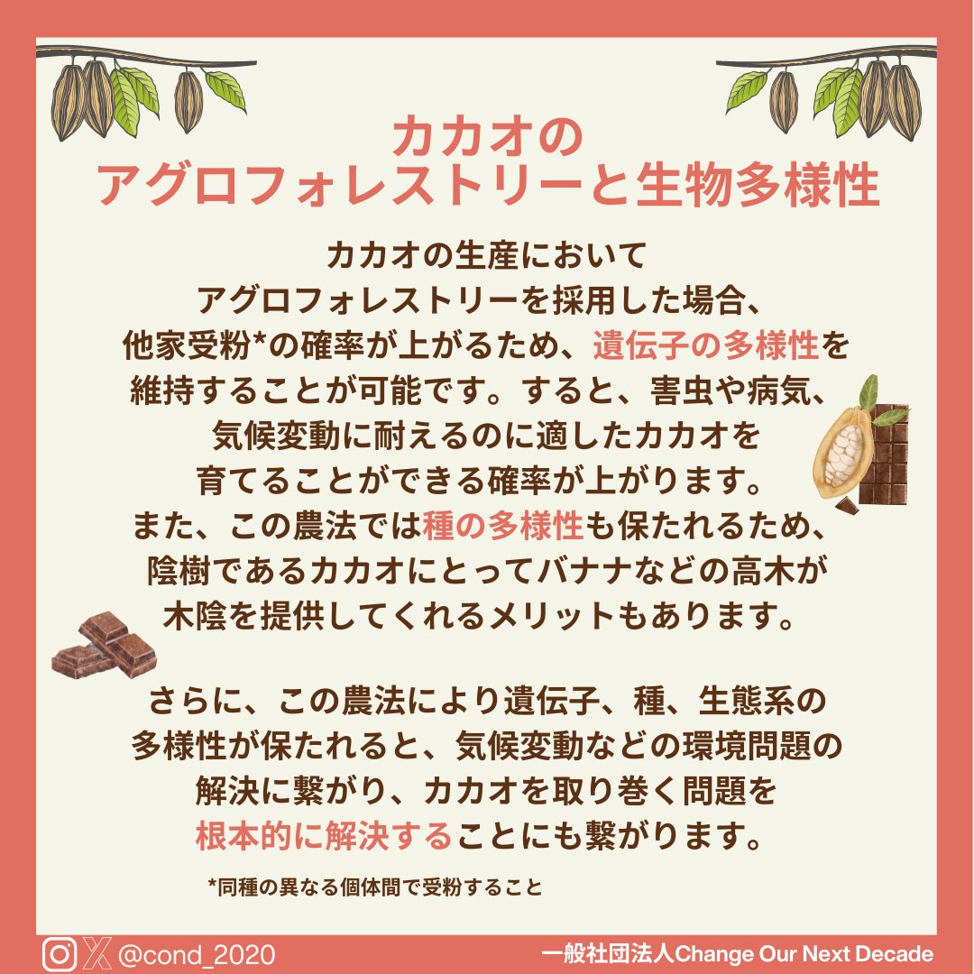 COND_2020's tweet photo. こんにちは！一般社団法人Change Our Next Decadeです！

本日はバレンタインに関する投稿です！
チョコレートの原料であるカカオが危機的状態にあることを知っていますか？

「アグロフォレストリー」について少しでも知っていただければ幸いです！ https://t.co/dbXeo2behs
