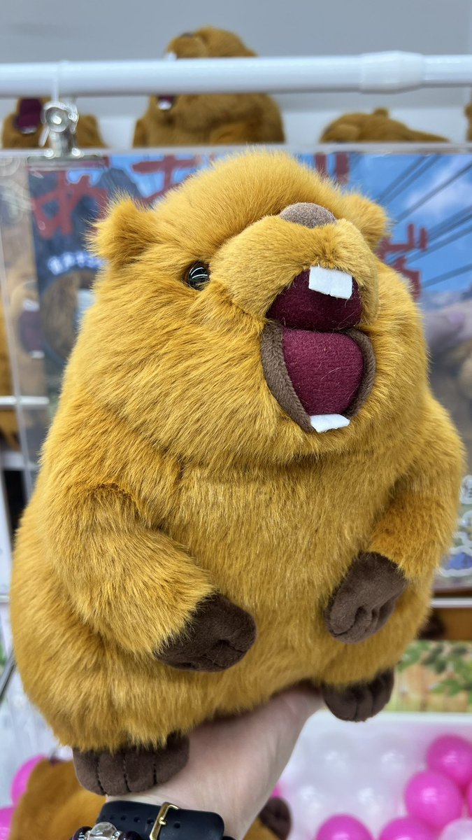 マーモット 音声ぬいぐるみ 音声 ぬいぐるみ 音声ギミック マーモット