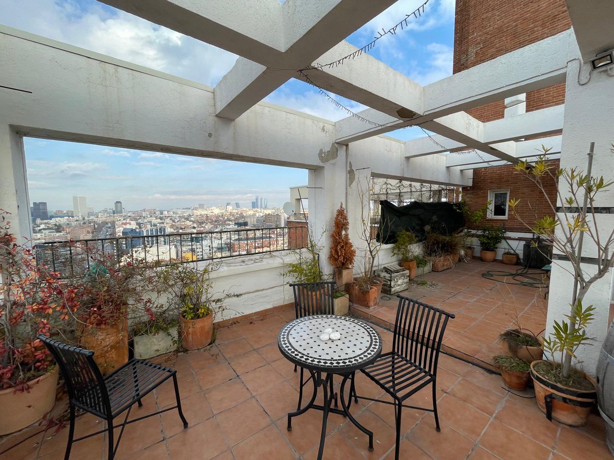 Nuestra terraza de Avenida de América resulta espectacular. Y dentro nuestro limonero se resiste al invierno… y aparece su mejor fruto : un limoncito !!
