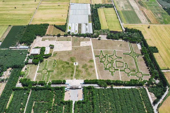 Deep__China's tweet photo. The Yin Ruins in Henan province provide evidence of the existence of the Shang dynasty (1600–1046 BC). Oracle bones discovered here offer insights into the social life of Shang society. #DeepChina #EarlyChina
https://t.co/z4l2T47eje https://t.co/LU6HoW3sio