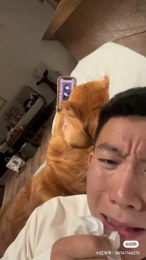 이짤 반대버전도 있었네 미땡