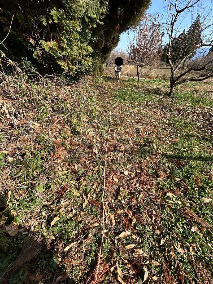 D__SEVEN's tweet photo. 【活動報告2024.1.18】
【1月 佐野地区】
・猪対策の柵設置準備🐗

こちらの活動は、令和6年度くまだい学生のSDGs 自主的活動推進事業の経費支援を受けています。
こちらの活動は、東海大学の学生、熊本大学のボランティア実践の授業をとっている学生と共同でしています！
#熊本大学
#農業ボランティア https://t.co/MYsLOcuryh