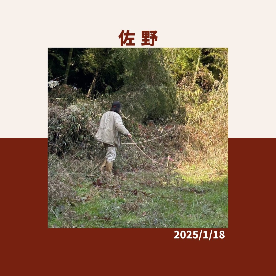 D__SEVEN's tweet photo. 【活動報告2024.1.18】
【1月 佐野地区】
・猪対策の柵設置準備🐗

こちらの活動は、令和6年度くまだい学生のSDGs 自主的活動推進事業の経費支援を受けています。
こちらの活動は、東海大学の学生、熊本大学のボランティア実践の授業をとっている学生と共同でしています！
#熊本大学
#農業ボランティア https://t.co/MYsLOcuryh