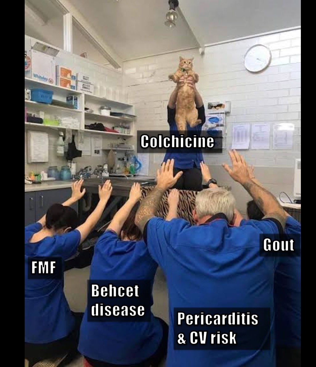 simplify_drugs's tweet image. Colchicine is used for ____ of gout

Acute attack

Prophylaxis

Both acute attack and prophylaxis