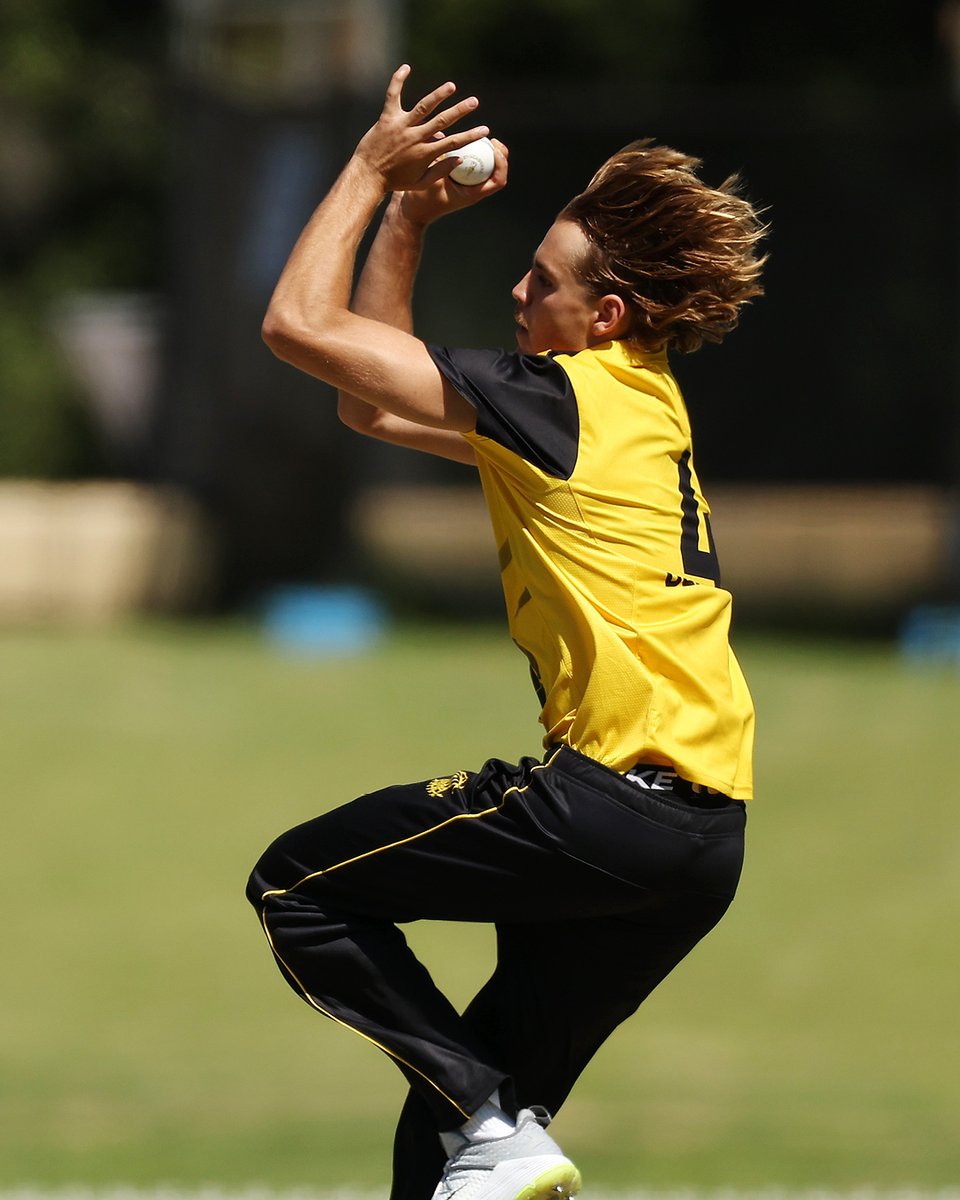Mahli on a heater today 🖤💛
