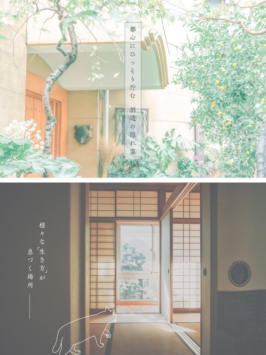 私たち一人一人の中に潜む「創造力」｡ 
それは私たちを閉塞感から解き放とうとするチカラ｡
 「生きる」チカラだ。 

様々な「生きづらさ」が溢れる時代 ｡
その中でこそ､
創造力を活かし合い、
生きるチカラを分かち合えたなら。 

𓈒𓏸𓅯

そんな想いから生まれた共創拠点。 
それが「時の雨」｡