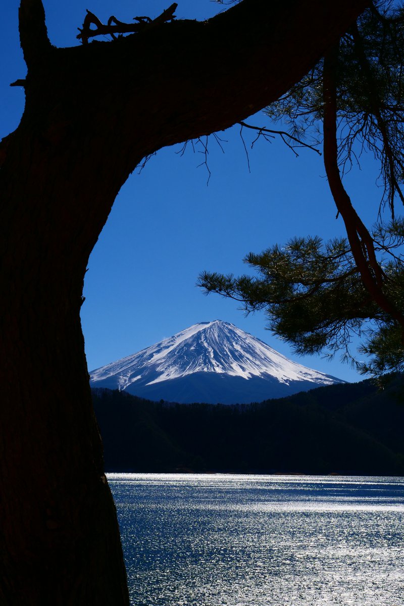 TakanoWalks's tweet photo. 『河口湖』Walking series https://t.co/Ehw1p2rOvc