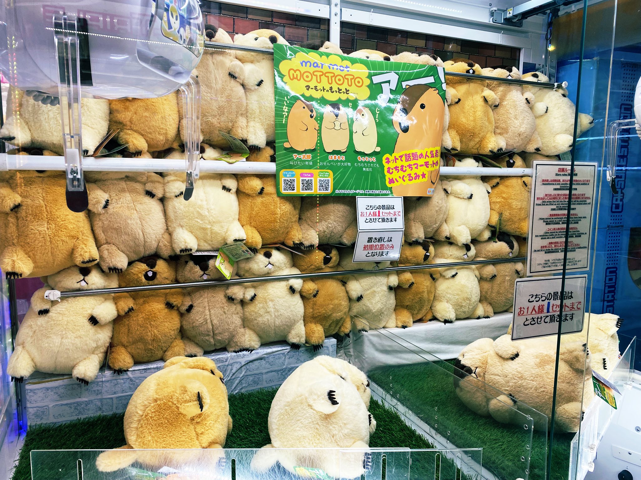 GAO歌舞伎町店【AMUFUN直営店】 on X: GAO歌舞伎町店【AMUFUN直営店】 on X: