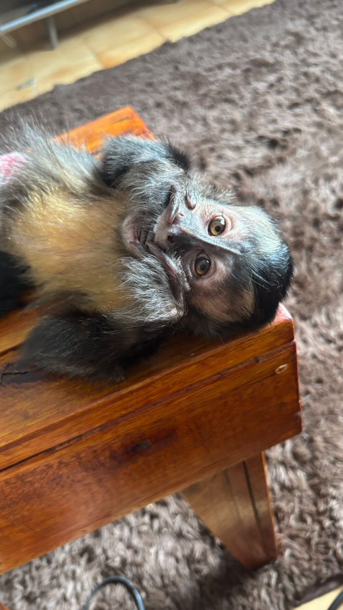 Bebinhorj 🚀 🥋⚡️ tweet media