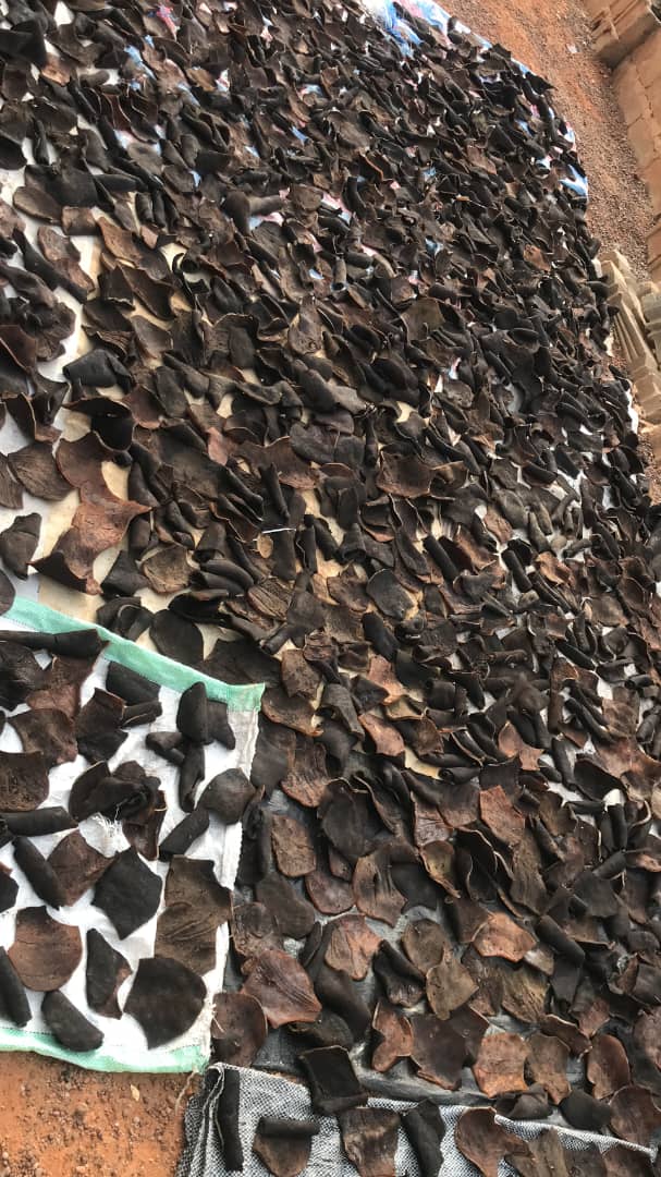 Funmibiajoke's tweet image. I sell dry ponmo Ijebu @ 500 for one