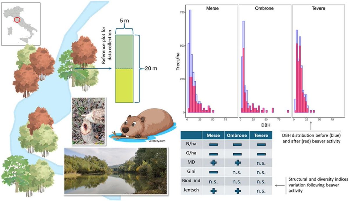 Forest Ecosystems tweet media