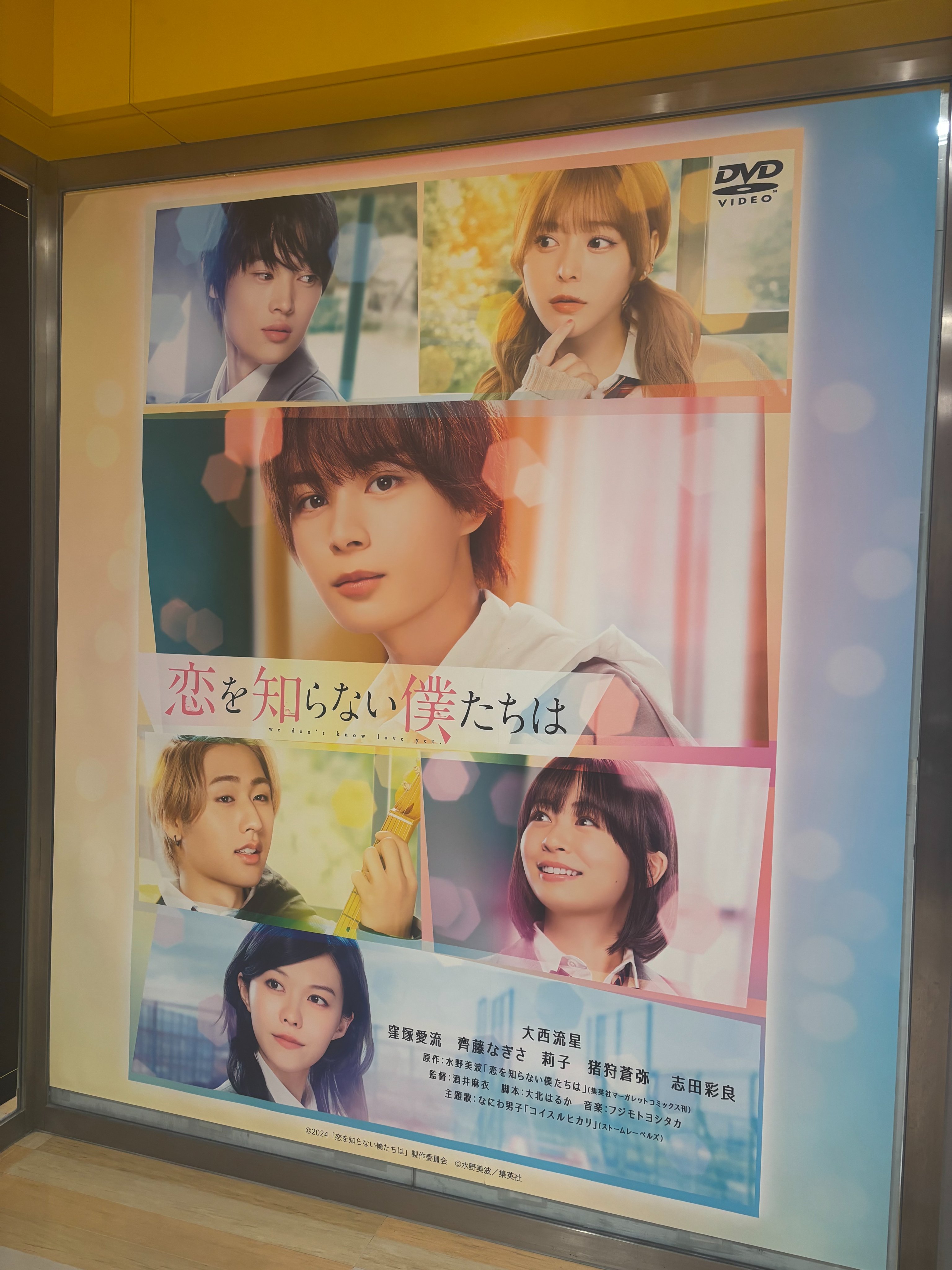 映画『恋を知らない僕たちは』公式 💕2025.2.14（金）Blu