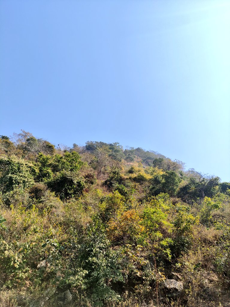 SidhuJetha tweet media