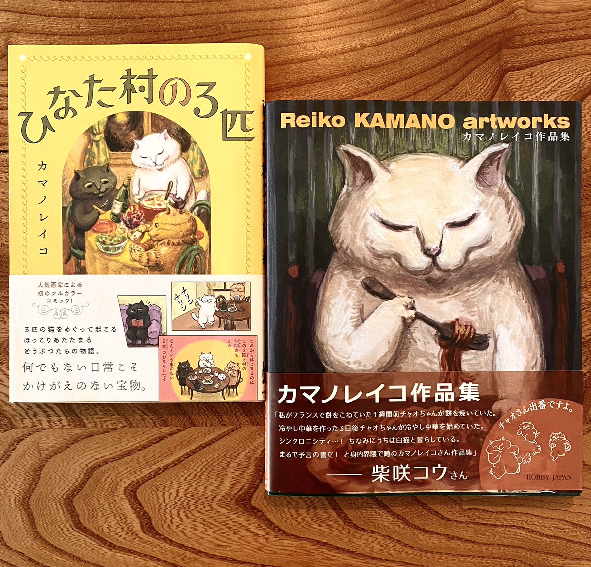 ReikoKAMANO's tweet image. ホームページ上に、
出した書籍をまとめました✨📕
reikokamano.wixsite.com/reikokamano/bo…