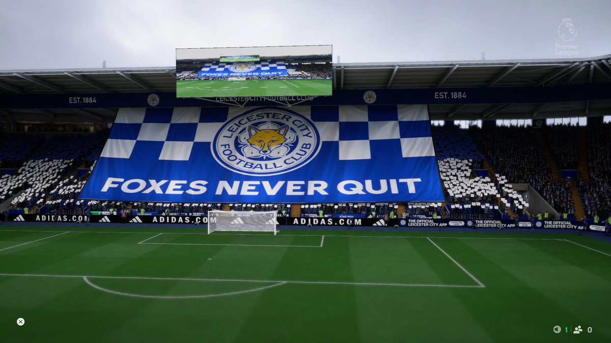 sandrocuartob's tweet image. 