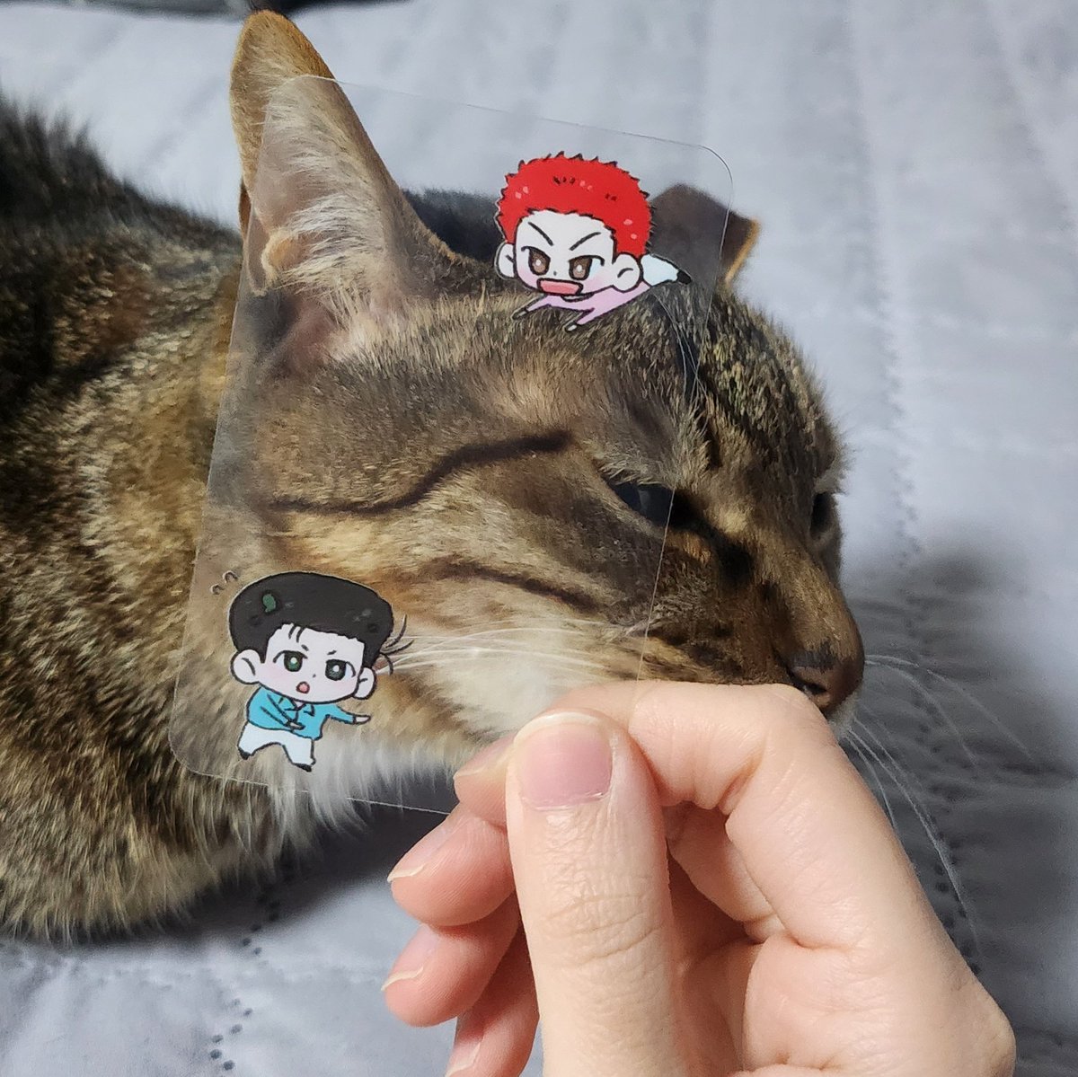 뜬금없이 투명포카를 함 뽑아봤습니다