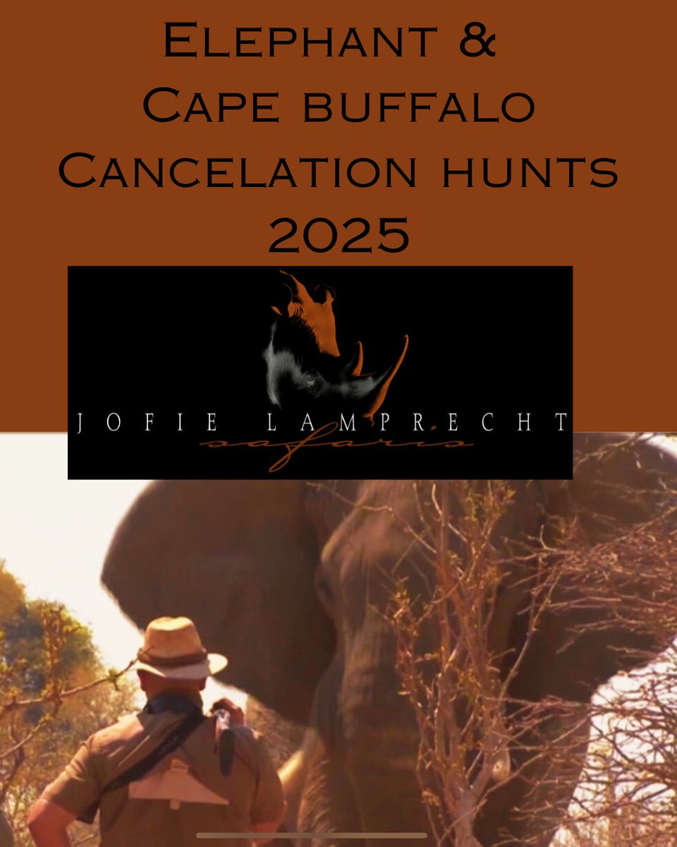 Elephant &amp; Cape buffalo cancelation hunts 2025 - mailchi.mp/jofielamprecht…